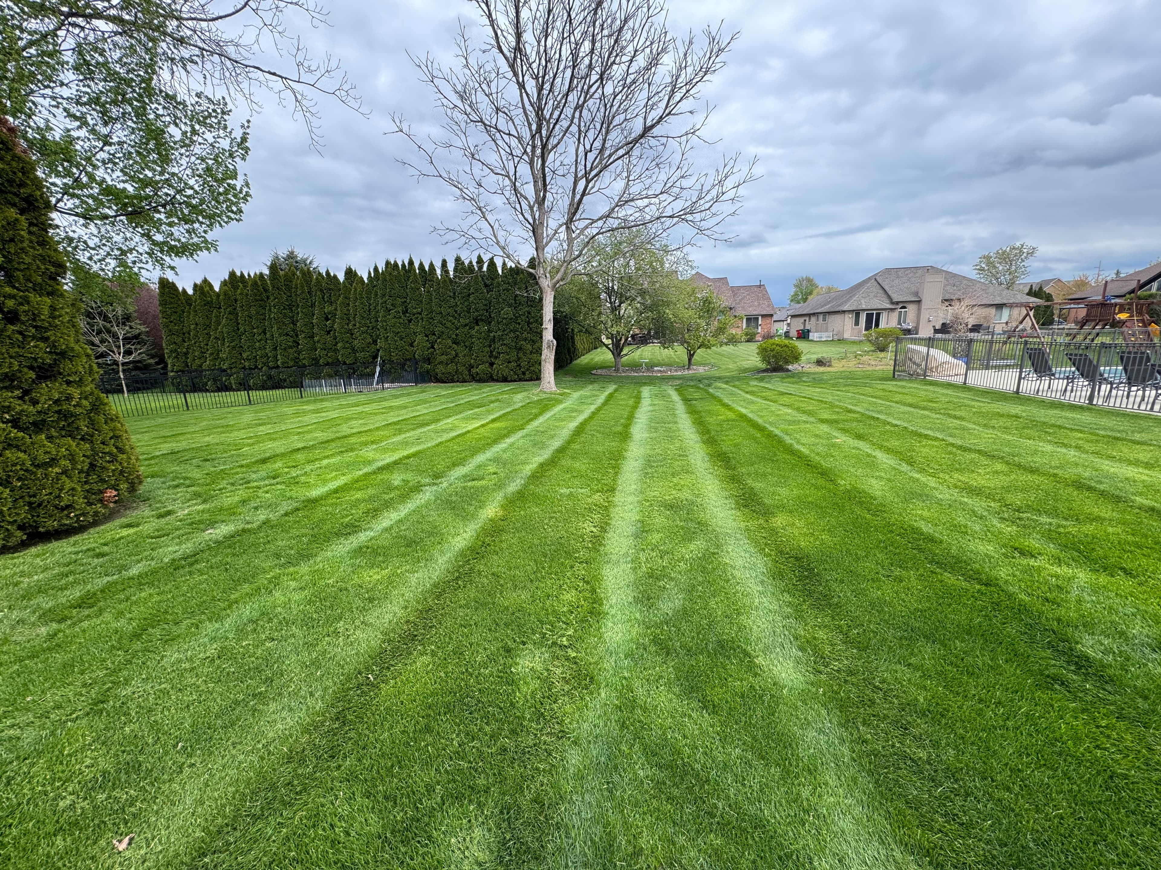 Perfectly striped lawn maintenance in Macomb County Michigan by Tri-Point Landscaping